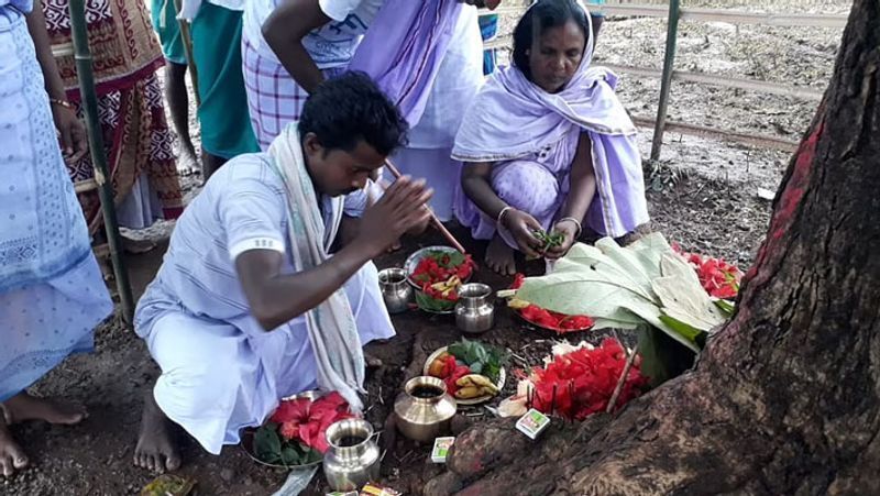 दुधकोल गांव के लोग इन जीवाश्मों को देवी-देवताओं का अवतार मानकर पूजा-अर्चना करने लगे हैं। आगे पढ़ें इसी खबर के बारे में..