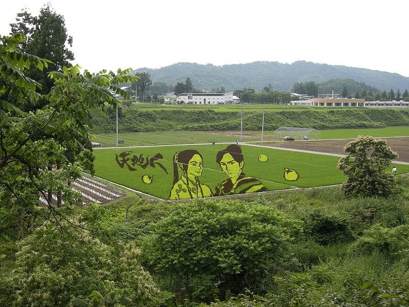 Rice paddy art of japan village