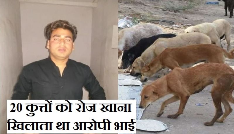 गंगासागर के पास कैलाश वाटिका कॉलोनी में रहने वाले योगेंद्र कुमार बिल्डर हैं। वे यहां मां सरोज, बहन पारुल और छोटे भाई आशीष के साथ रहते हैं। आशीष गली मोहल्ले के करीब 20 कुत्तों को रोजाना शाम के समय रोटी खिलाता था। यही कारण है कि शाम होते ही आशीष के घर के बाहर कुत्तों की भीड़ जमा हो जाती थी।
