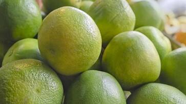 Skin friendly fruits: 5 astonishing advantages of Sweet Lime that increases softness vma eai Skin friendly fruits: 5 astonishing advantages of Sweet Lime that increases softness vma eai