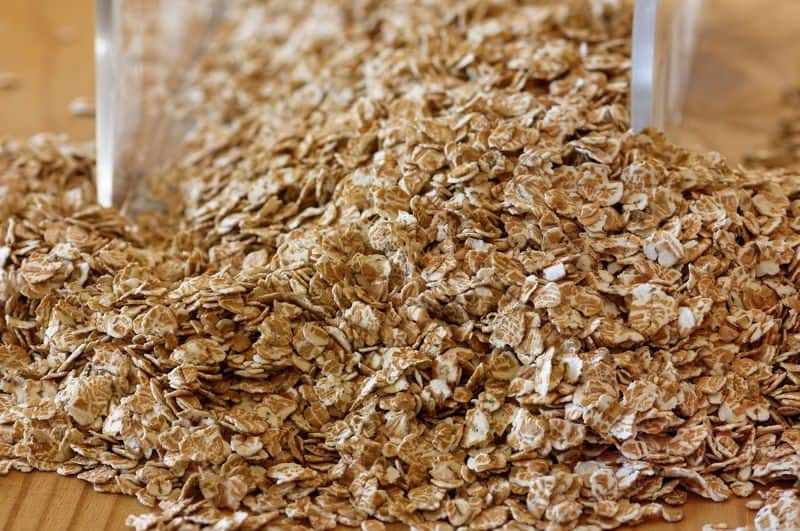 grow oats in home