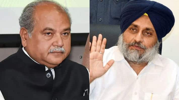 Farmers protest narendra singh tomar and Sukhbir Badal commented on farm bill KPP Farmers protest narendra singh tomar and Sukhbir Badal commented on farm bill KPP