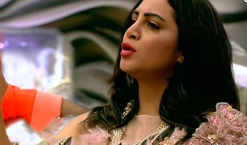 Arshi Khan later added that Salman even made fun of her while introducing them. “Although he also pulled my leg as he used to do on Weekend Ka Vaar but I was very happy to learn that he likes my Urdu," she told the portal. 