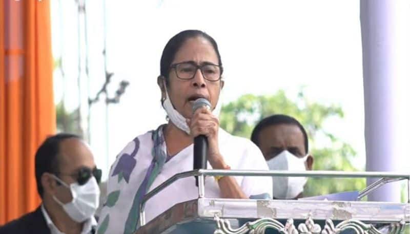 Mamta was hit in the head by the iPac company