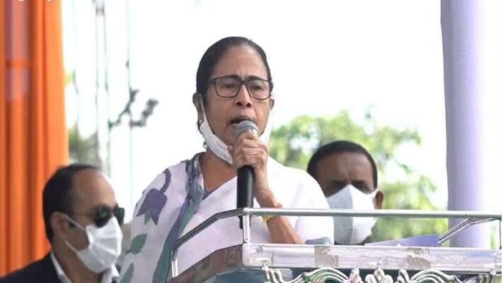 Mamata Banerjee assures support to protesting farmers in Delhi-dbr Mamata Banerjee assures support to protesting farmers in Delhi-dbr