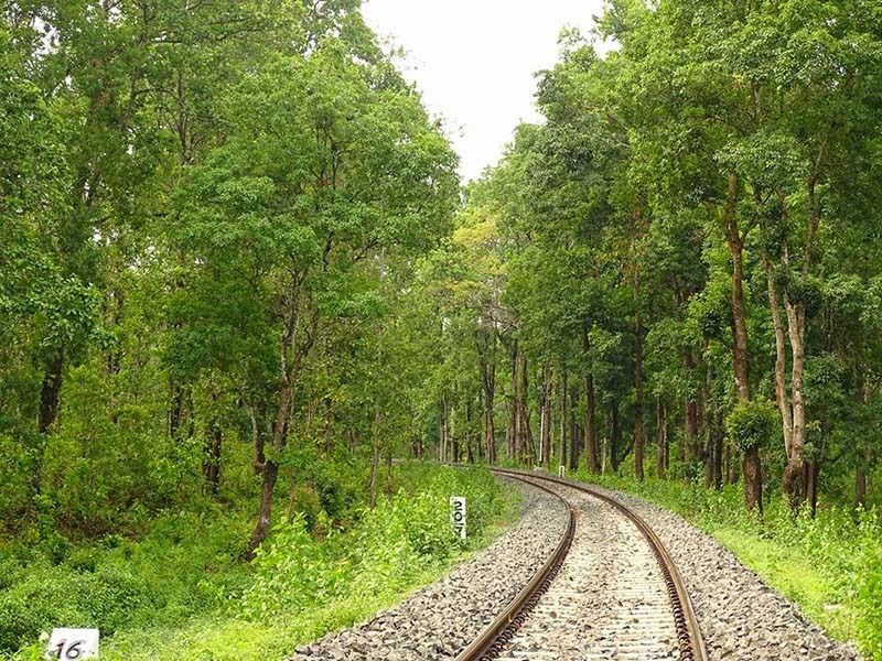 ভুটান পাহাড়ের গা বেয়ে বয়ে যাচ্ছে স্বচ্ছ জলধারা। চারিদিকে ছোট বড় টিলা এবং অচেনা পাখির ডাক। 