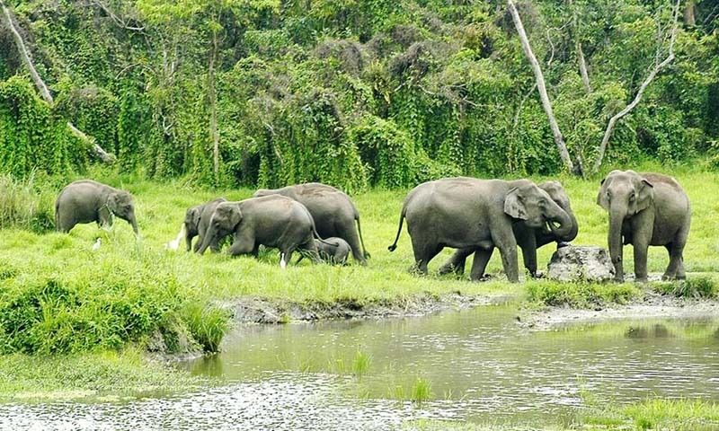 কুমাই চা-বাগান এবং কুমাই ফরেস্ট পার করে নকশাল চেকপোস্ট থেকে কিছুটা এগোলেই যে ভিউ পয়েন্ট দেখতে পাবেন তার সৌন্দর্য আপনাকে পাগল করে দেবে। 
