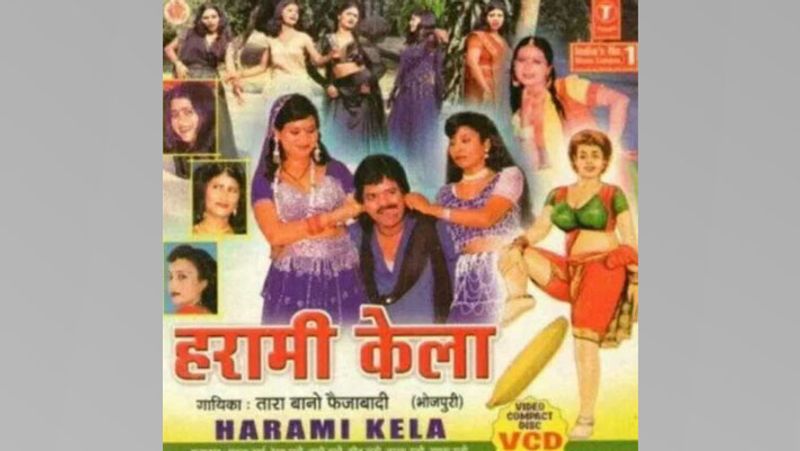 भोजपुरी फिल्मों का सबसे बड़ा बाजार बिहार है। इसके अलावा यह सिनेमा उत्तर प्रदेश और नेपाल में भी देखा जाता है।
