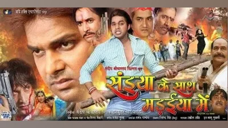भोजपुरी फिल्मों का सालाना टर्न ओवर 200 से 250 करोड़ तक माना जाता है। जबकि बॉलीवुड में कई फिल्में ही 100 करोड़ के ऊपर बनी हैं।