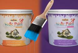 Heres more about organic Vedic Paint that is made out of cow dung