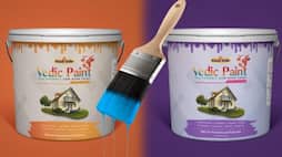 Heres more about organic Vedic Paint that is made out of cow dung