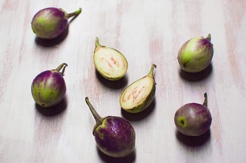how to grow Thai Eggplants