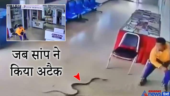 When a dangerous snake attacked the man, shocking video viral kpa When a dangerous snake attacked the man, shocking video viral kpa