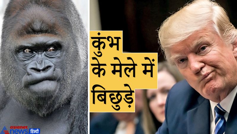 फैक्ट: पूरा नाम डॉनल्ड जॉन ट्रम्प। इनका जन्म 14 जून, 1946 को क्वींस, न्यूयॉर्क सिटी में हुआ। इनके पिता का नाम फ्रेड ट्रम्प और मां का नाम मेरी ऐनी मैकलियोड है।