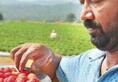 Hard work pays off! Quitting construction work, Sasidhar grows strawberries, earns handsome profits