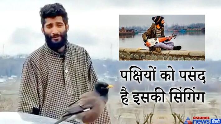 Viral video, birds come close after listening to man song kpa Viral video, birds come close after listening to man song kpa