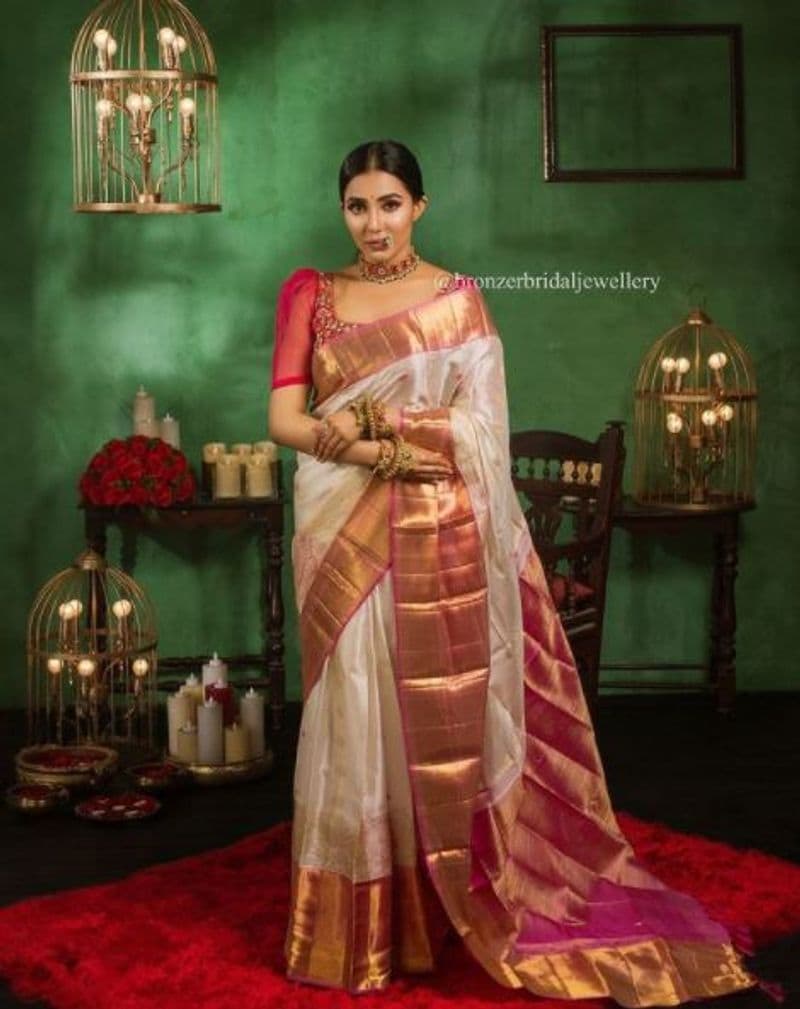 parvathi nair latest saree wear photo gallery