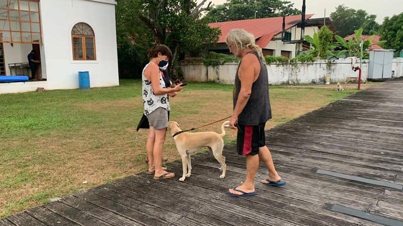 French traveler rescued the dog Bonam from kerala