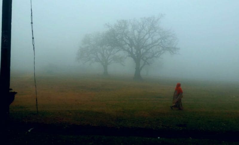 तस्वीर में देख सकते हैं किस तरह से धुंध की चादर ओढ़े रही सुबह।
