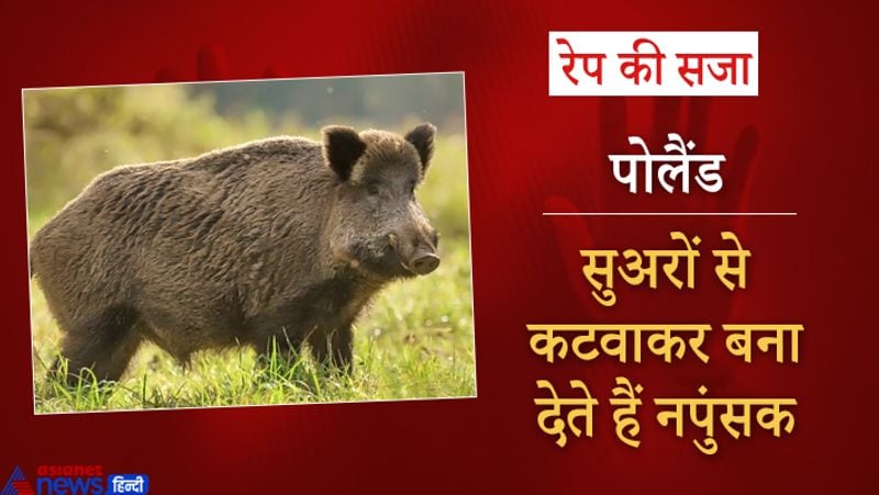 पोलैंड में रेपिस्ट को इतना भयानक सजा मिलती है कि देखने वाले कांप उठते हैं।