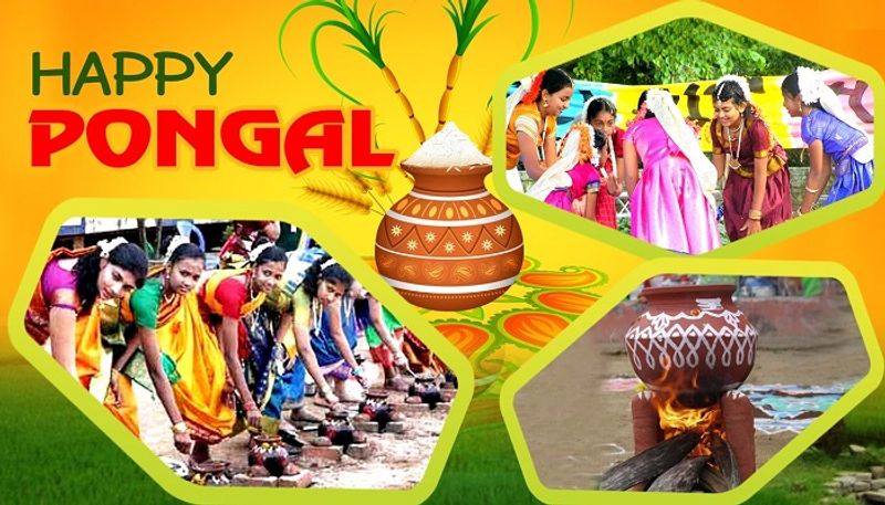 Makar Sankranti 2022: Here's What to Donate According To Your Zodiac Signs