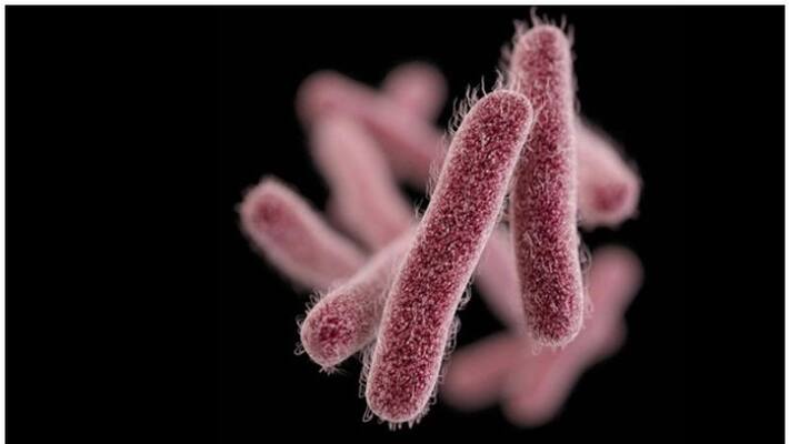 Shigella Case Reported in Kozhikode Shigella Case Reported in Kozhikode