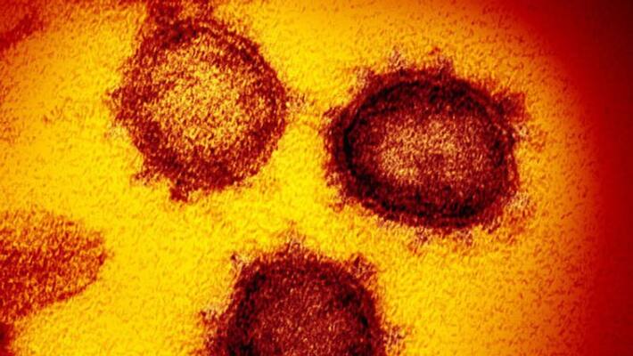 who says no need alarm about new coronavirus strain bsm who says no need alarm about new coronavirus strain bsm