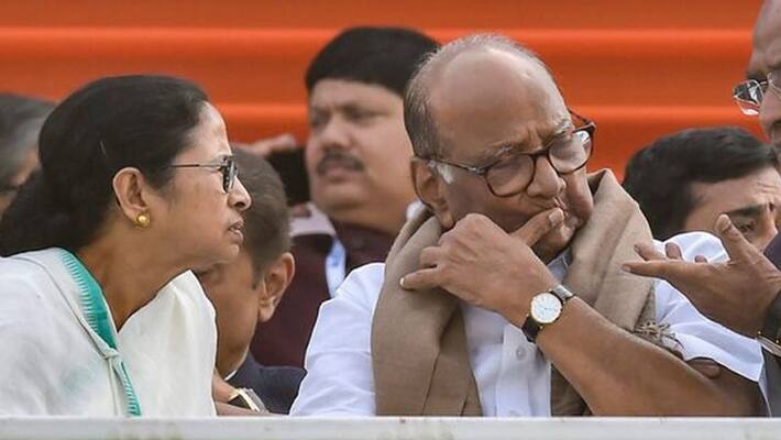 cm mamata banerjee talk ncp sharad pawar bjp commented KPP cm mamata banerjee talk ncp sharad pawar bjp commented KPP
