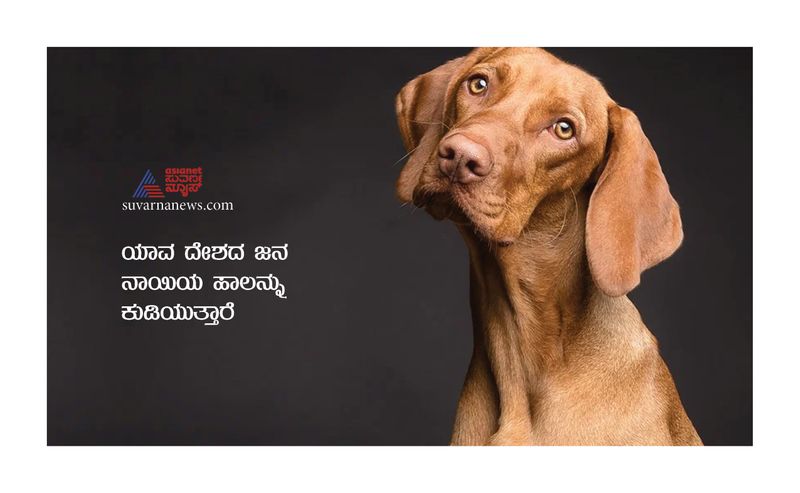 These tricky IAS questions will ask in interview in Kannada