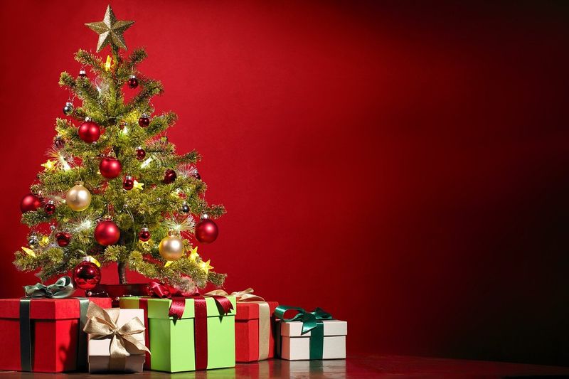 christmas symbols and what they mean check out here dpl