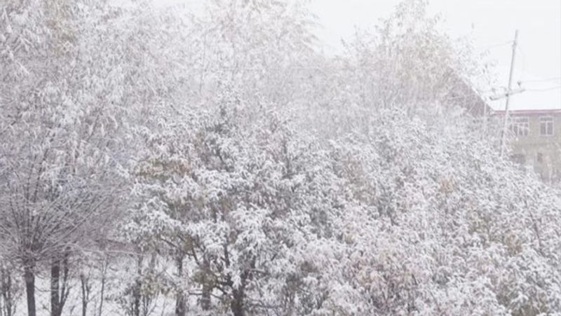 लाचेन और थांगु घाटी- सिक्किम के उत्तरी भाग में स्थित लाचुन और थांगु घाटी एक बेहतरीन टूरिस्ट स्पॉट है। करीब 2,500 मीटर की ऊंचाई पर स्थित इस जगह का जनवरी में औसत तापमान -10 से -15 डिग्री सेल्सियस के बीच रहता है। यहां होने वाला भारी स्नो फॉल घाटी में बेरहम सर्दी का गवाह बनता है। इसके अलावा यहां पूरे साल तापमान जीरो डिग्री के आसपास ही रहता है। बताया जाता है कि यहां पर जलश्रोतों का पानी अक्सर जम जाता है। पीने के पानी के लिए लोगों को बर्फ पिघलानी पड़ती है। 