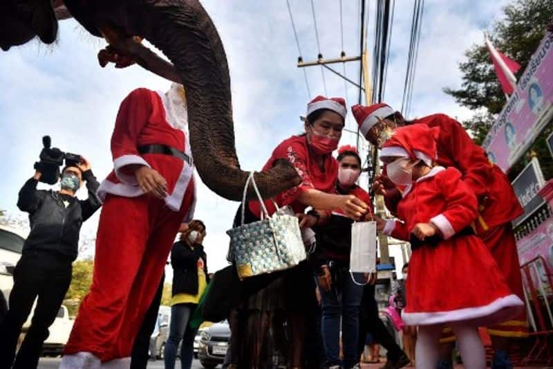 Elephant Santas spread coronavirus awareness among Thai children dpl