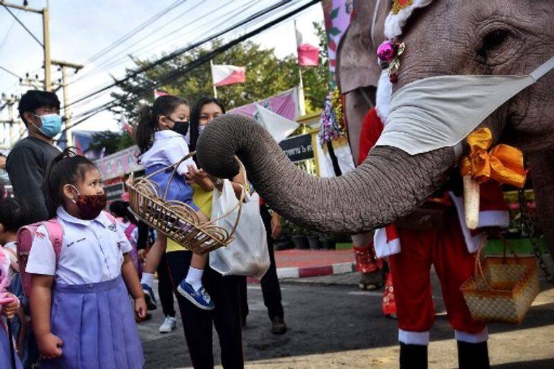 Elephant Santas spread coronavirus awareness among Thai children dpl