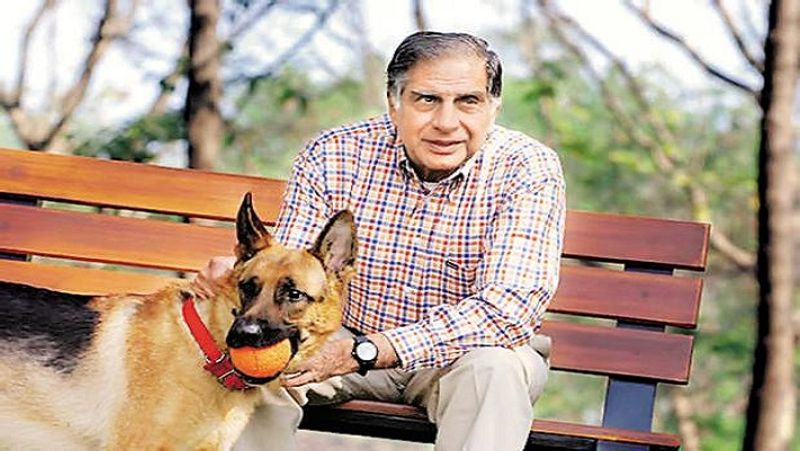 अरबों की दौलत के मालिक रतन टाटा की लाइफस्टाइल बेहद सिंपल है। वे सादगीपूर्ण जीवन बिताते हैं। उनके विचार लोगों को प्रेरित करने वाले हैं। आपने पेट डॉग के साथ रतन टाटा की यह तस्वीर बेहद खूबसूरत है।