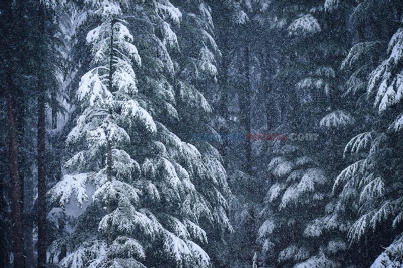 During a snow in Manali anandu prabha s photostory