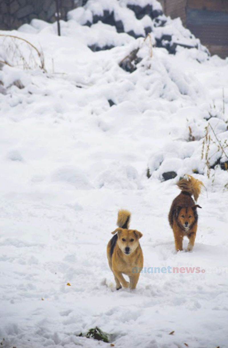 During a snow in Manali anandu prabha s photostory
