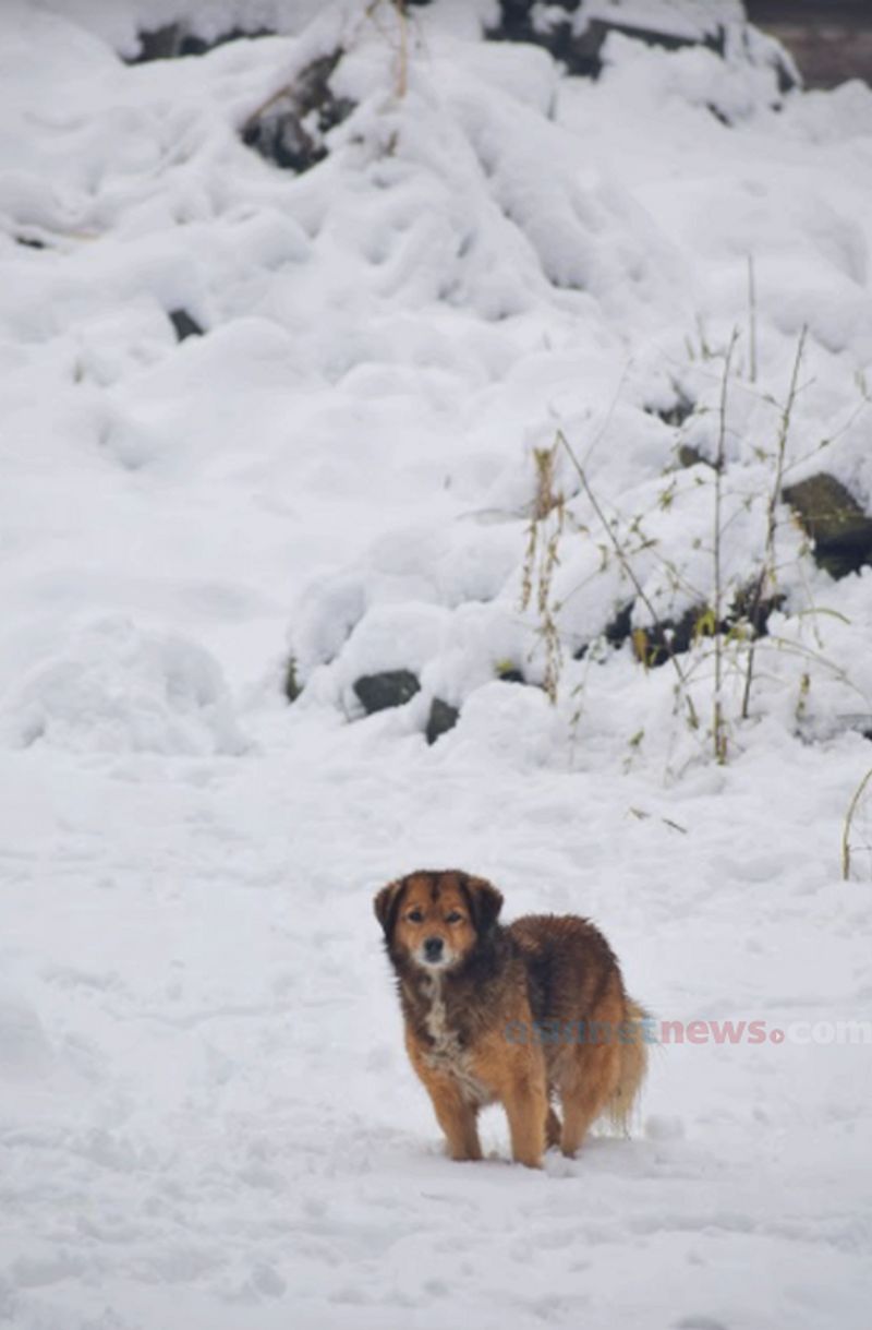 During a snow in Manali anandu prabha s photostory