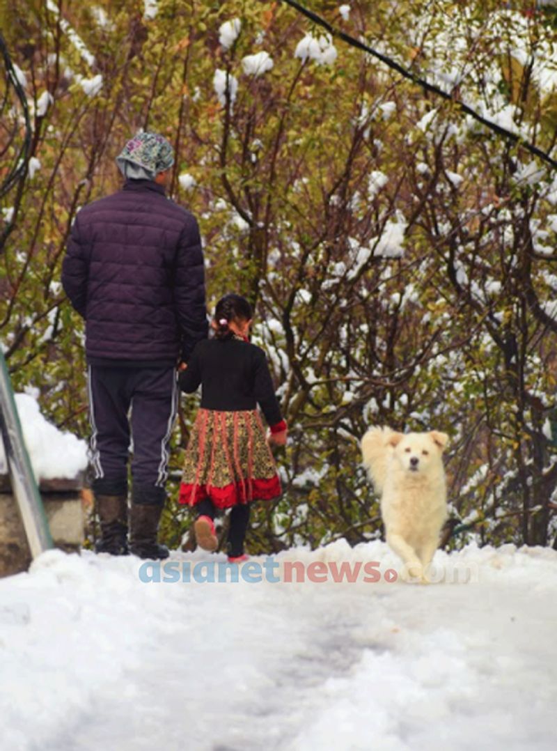 During a snow in Manali anandu prabha s photostory