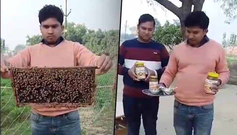 Quitting their jobs, 3 brothers take up pearl farming and beekeeping; enjoy good profits
