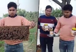 Quitting their jobs, 3 brothers take up pearl farming and beekeeping; enjoy good profits