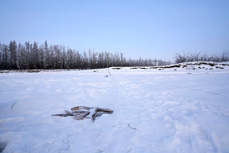 Oymyakon in Russia coldest place photos