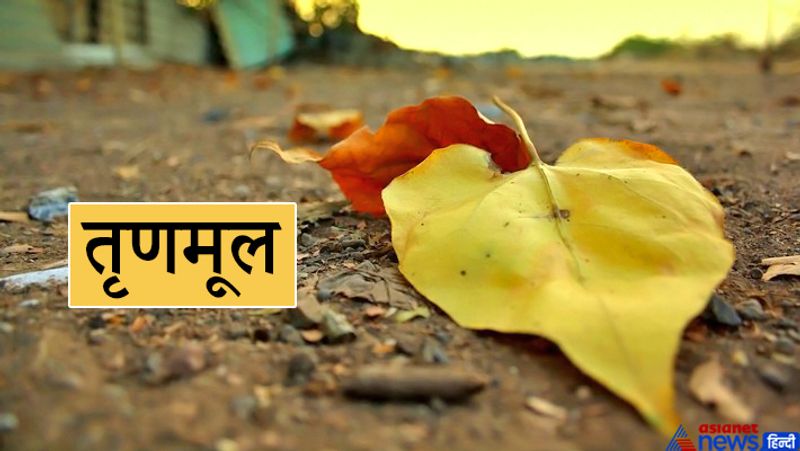 फैक्ट
कुछ महीने बाद पश्चिम बंगाल में होने जा रहे विधानसभा चुनाव को लेकर राजनीतिक घमासान शुरू हो गया है। यहां कुल 294 सीटें हैं। इसमें से 2 सीटों पर सदस्य मनोनीत होते हैं। यानी 292 सीटों पर इलेक्शन होता है। इस बीच तृणमूल कांग्रेस में भगदड़ मच गई है। कई विधायक और नेता पार्टी छोड़कर भाजपा में चले गए हैं। यानी स्थिति इस फोटो की तरह हो रही है।