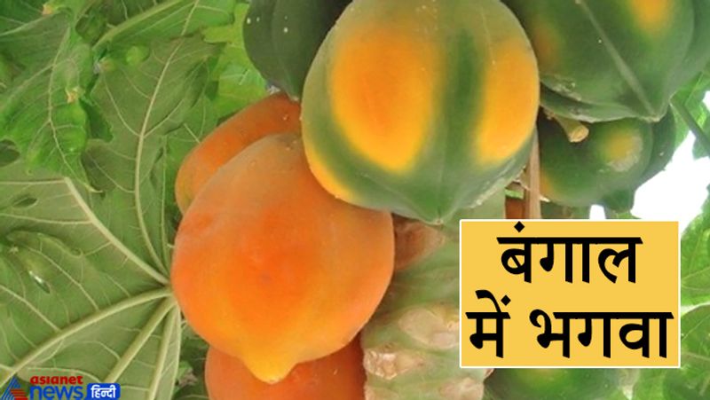 पश्चिम बंगाल का चुनाव भाजपा के लिए बहुत महत्वपूर्ण है। यह चुनाव भाजपा का भविष्य तय करेगा। यह भी सही बात है कि भाजपा धीरे-धीरे बंगाल में अपने पैर जमाती जा रही है। यानी तृणमूल की राज्य में भगवा असर कर रहा है।