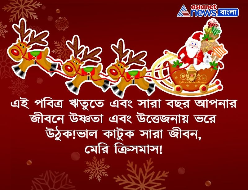Top 15 Christmas Greetings and Wish Cards which you can share with your loved ones BDD