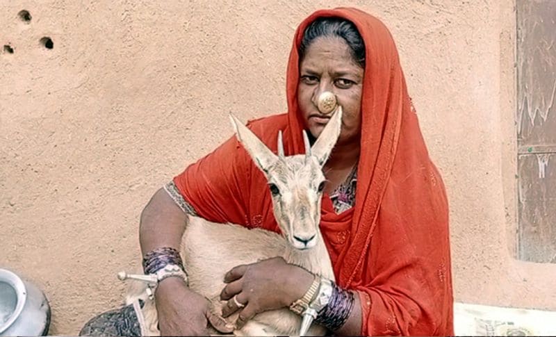 बता दें कि कुछ महीने पहले गांव के आवारा कुत्तों ने मादा हिरण पर हमला कर उसे मार डाला था। उसके बच्चे की परवरिश करने के लिए महिला ने अपने पास रख लिया। पति से कहने लगी अगर इसको छोड़ दिया तो वह कुत्ते इसको भी मार डालेंगे। इसलिए इसे घर रख लेते हैं। घर लाने के बाद उसका नाम 'डॉन' रख दिया। गांव के सभी बच्चे उसके पास आकर खेलते हैं और उसका ख्याल रखते हैं।
