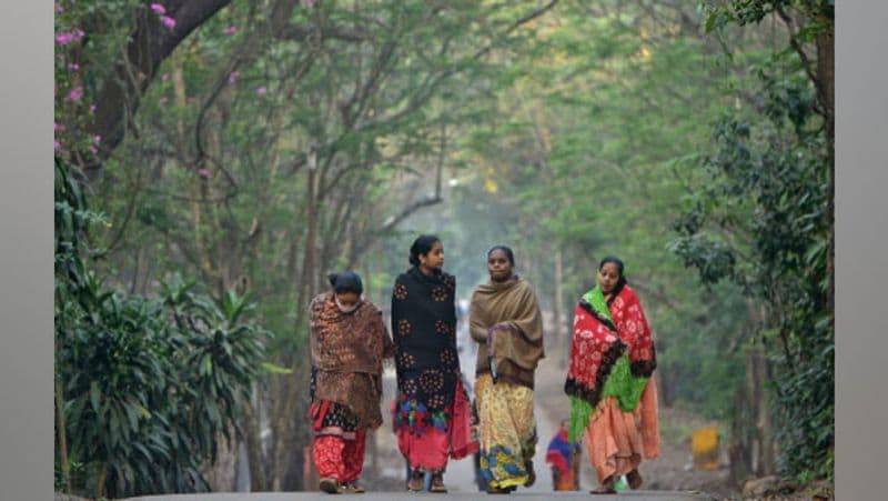 একইভাবে ঠাণ্ডা ঠাকবে কলকাতাতেও। বেলা বাড়ার সঙঅগে সঙ্গে বাড়বে রোদ। তবে হাওয়া চলারল ফলে ভালোই ঠাণ্ডা অনুভুত হবে।