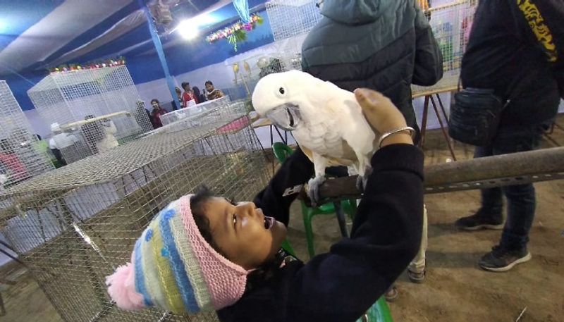 The bird show is going to be held on 25 December Christmas at Santosh Mitra Square RTB