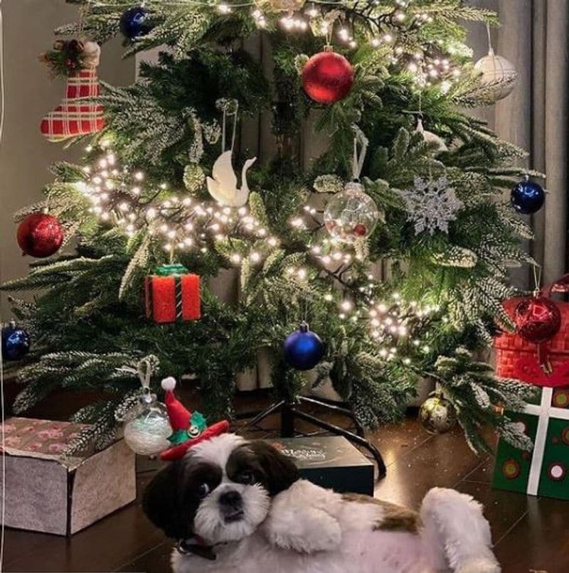 actress keerthi suresh celebrate Christmas photo goes viral