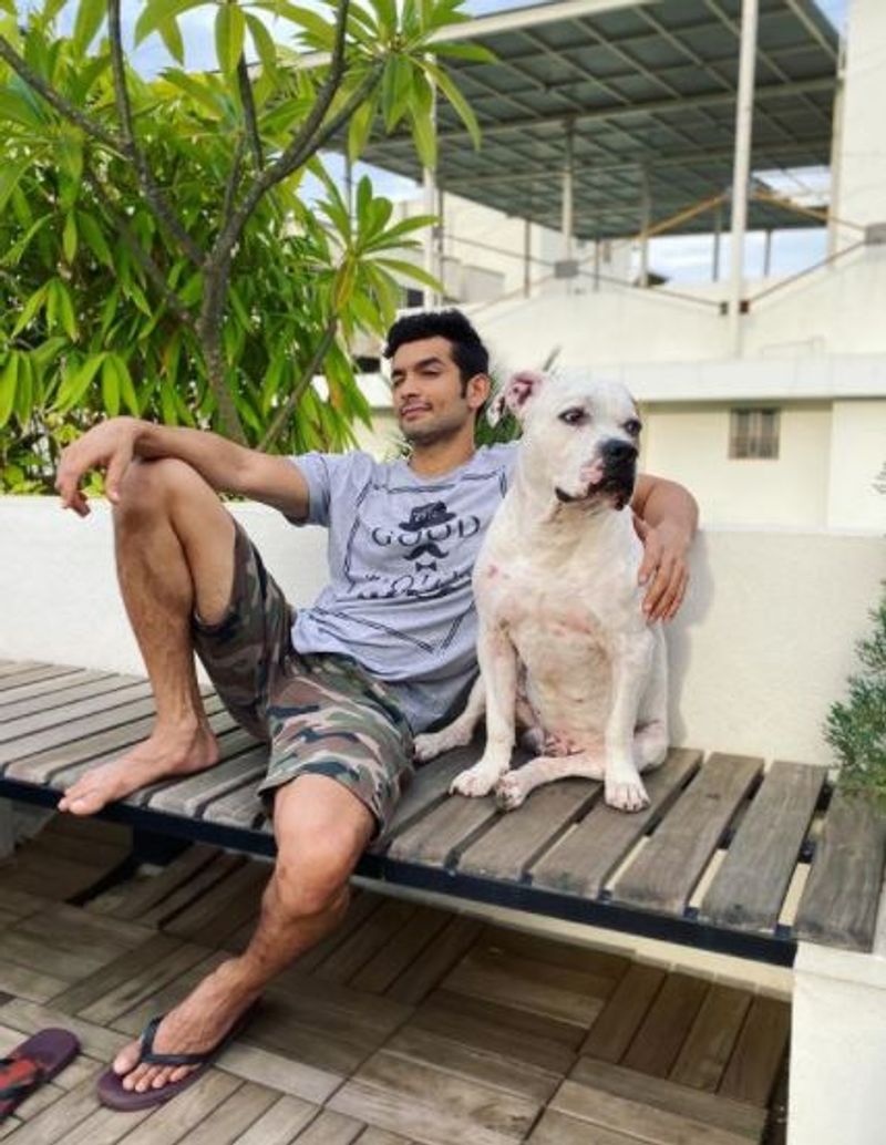 aindrita ray and diganth manchale Christmas photoshoot with pet vcs