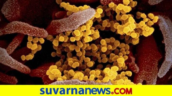 Mutant Covid19 was there in India in March says Genomics Mutant Covid19 was there in India in March says Genomics